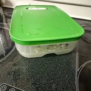 Tupperware Green and Clear Storage Container